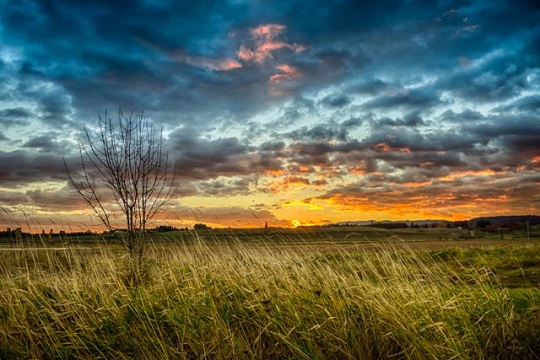 Field photo by Colby Drake